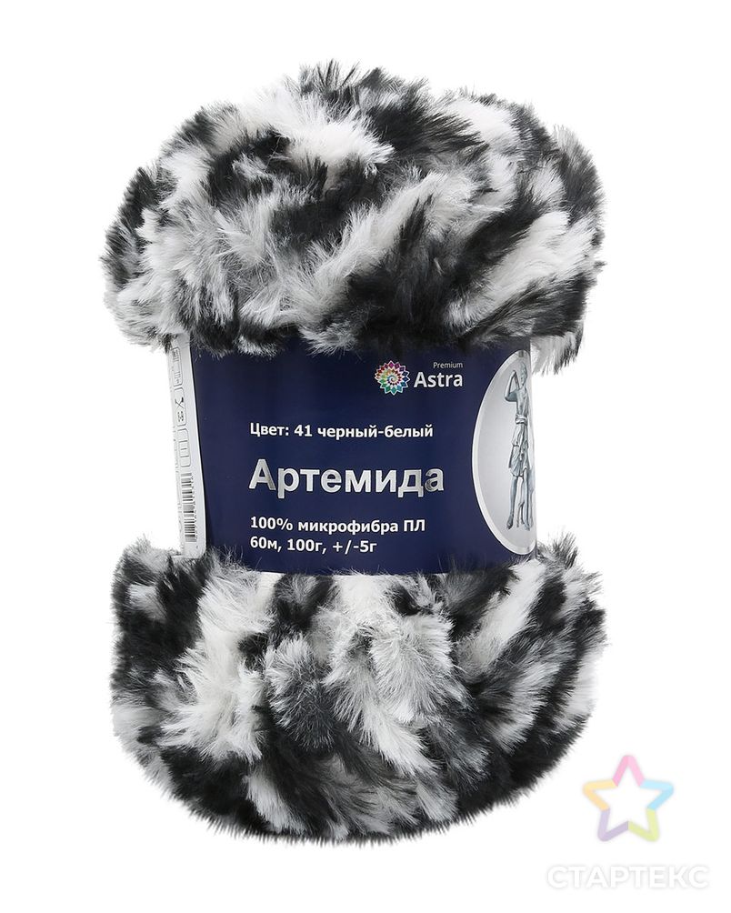 Пряжа Astra Premium 'Артемида' 100гр. 60м (100% микрофибра ПЛ) (41 черный-белый) арт. АРС-26859-1-АРС0001184294