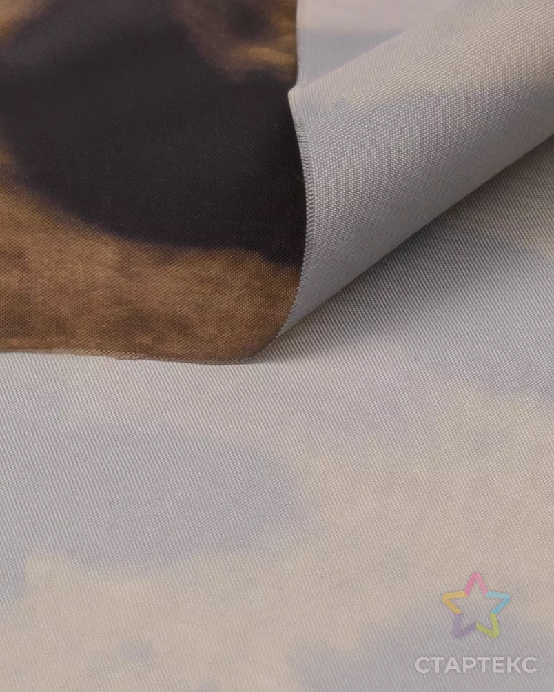 Ткань плащевая арт. ПЛЩ-290-1-26867.001 - рис. 2 Ткань плащевая арт. ПЛЩ-290-1-26867.001 - рис. 2