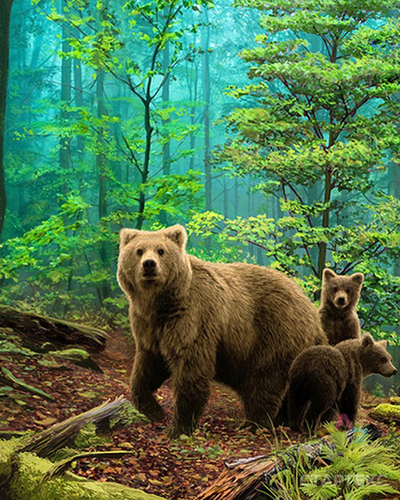 Медвежата в лесу картина