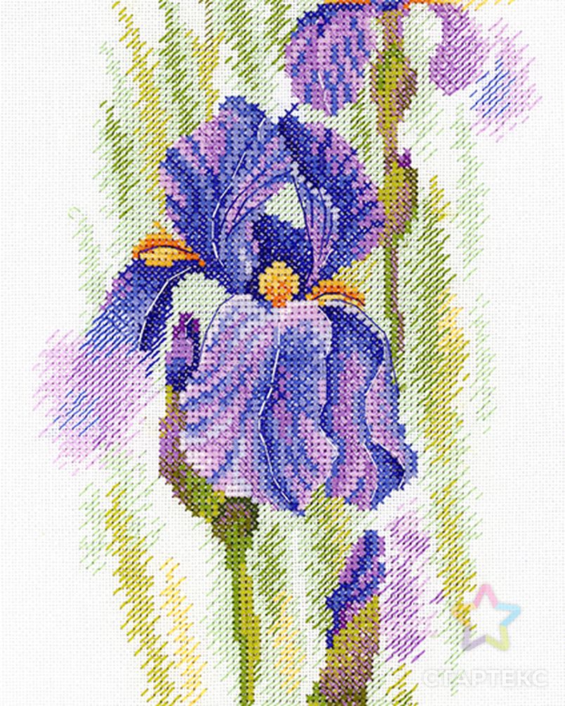 воздушный ирис. ирис пуля. ирис цветок. ярмарка мастеров elena fiore. ирис бородатый чинкуан.