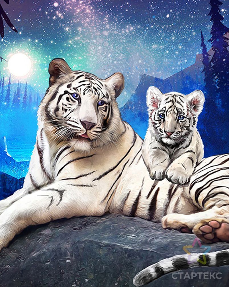 Картина стразами Тигры в ночи - Артикул - ГЕЛ0178143 - оптом купить в  Белгороде по недорогой цене в интернет-магазине Стартекс