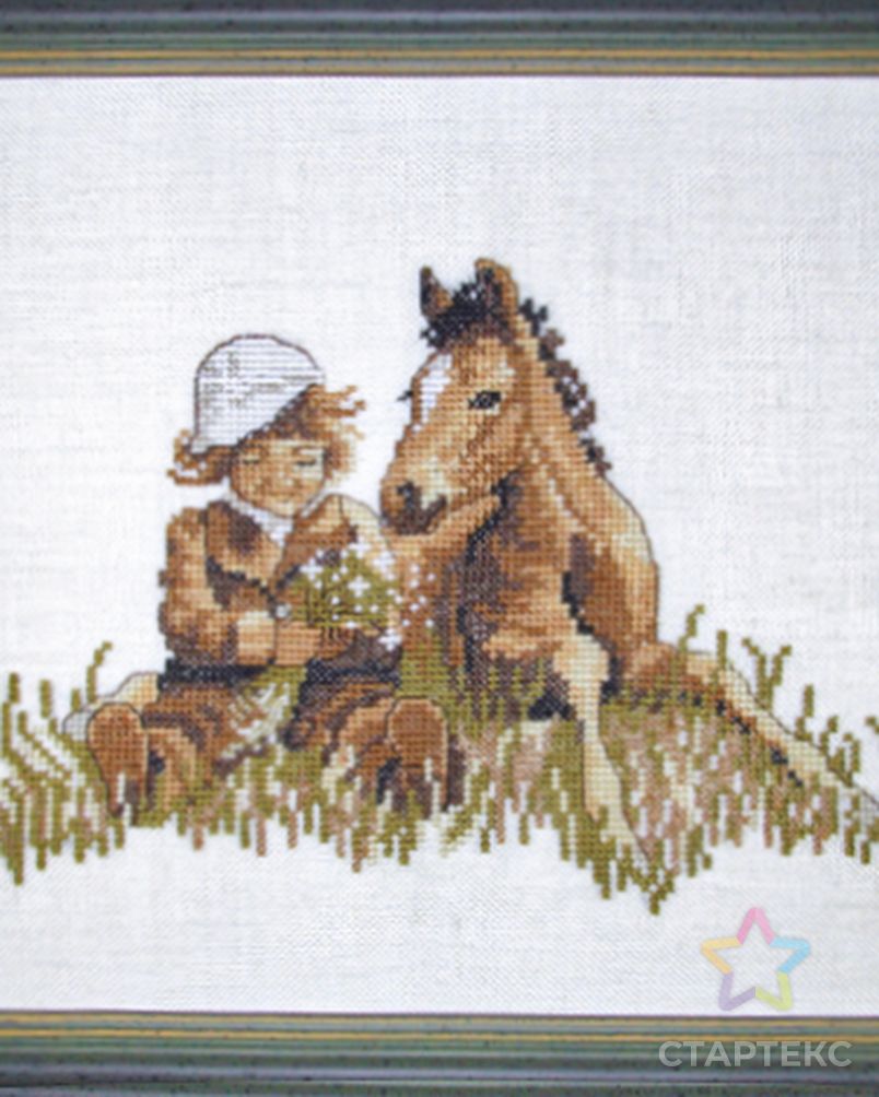 Набор для вышивки крестом Золотое Руно СВ-016 Девочка с Лошадью