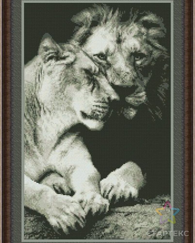 Верность крест. Верность львицы. Лев и львица монохром. Набор для вышивания верность львы.