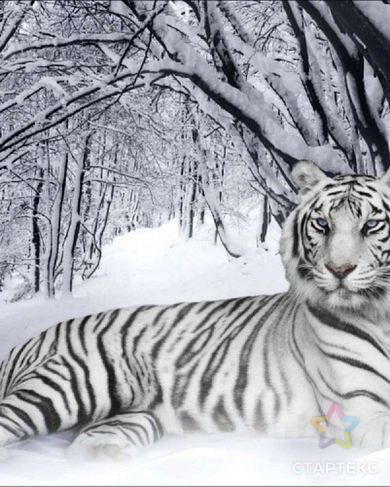 Схема для вышивания бисером с нанесенным рисунком ИМПЕРИЯ БИСЕРА Белый тигр 60х40 см арт. МГ-16617-1-МГ0163017