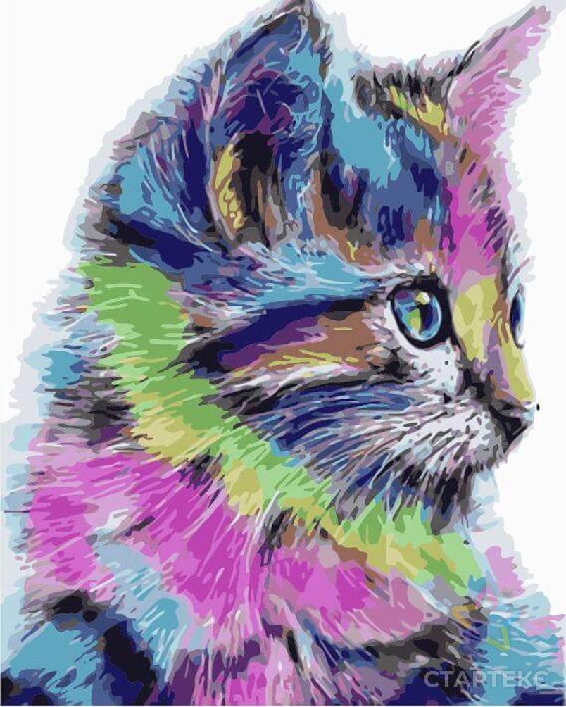 Заказать К по номерам Разноцветная кошка MG2077 40х50 тм Цветной арт. МГ-47306-1-МГ0588506 в Новосибирске