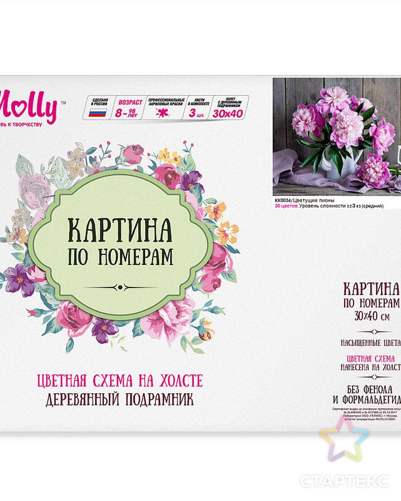 Картина по номерам с цветной схемой на холсте Molly Цветущие пионы (20 цветов) 30х40 см арт. МГ-81885-1-МГ0757587 3