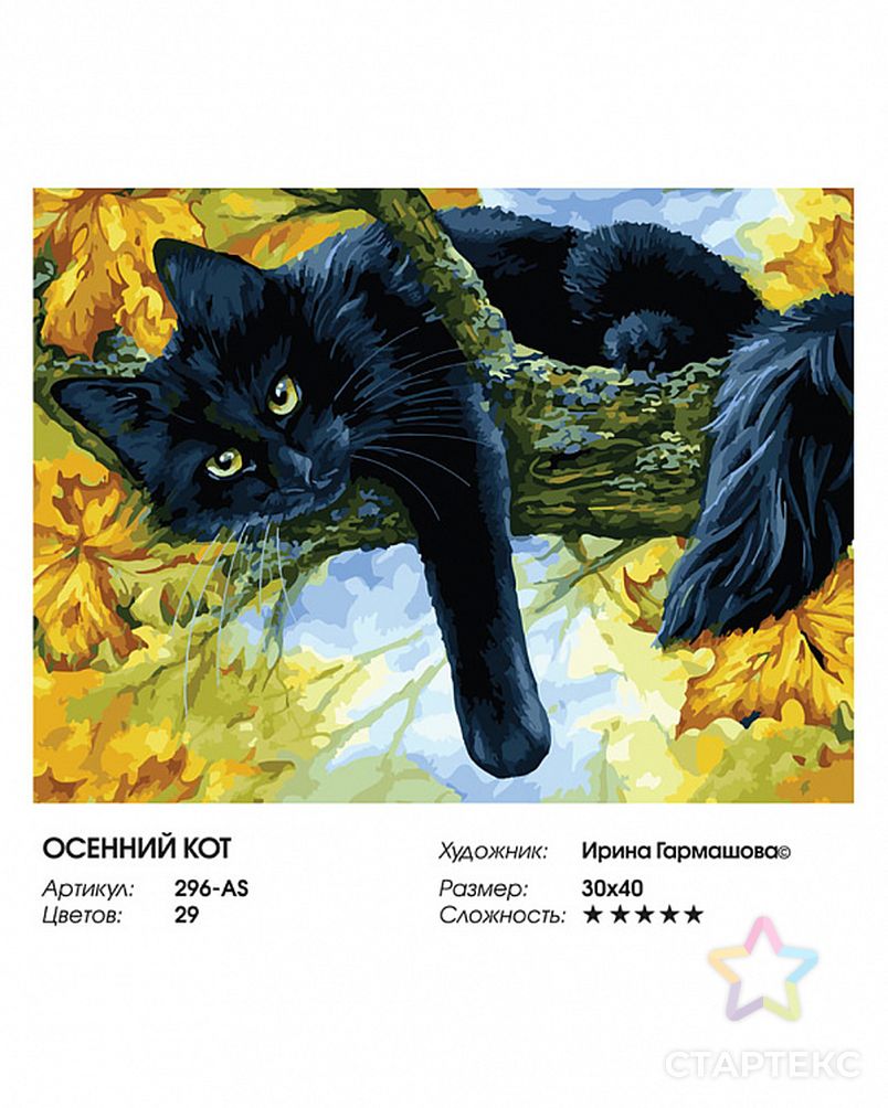 Картины по номерам Белоснежка Осенний кот 30х40 см арт. МГ-83133-1-МГ0765140 4