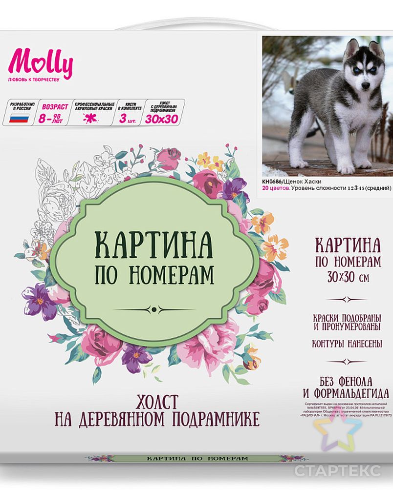 Картины по номерам Molly Щенок хаски (20 цветов) 30х30 см арт. МГ-96375-1-МГ0859742 2