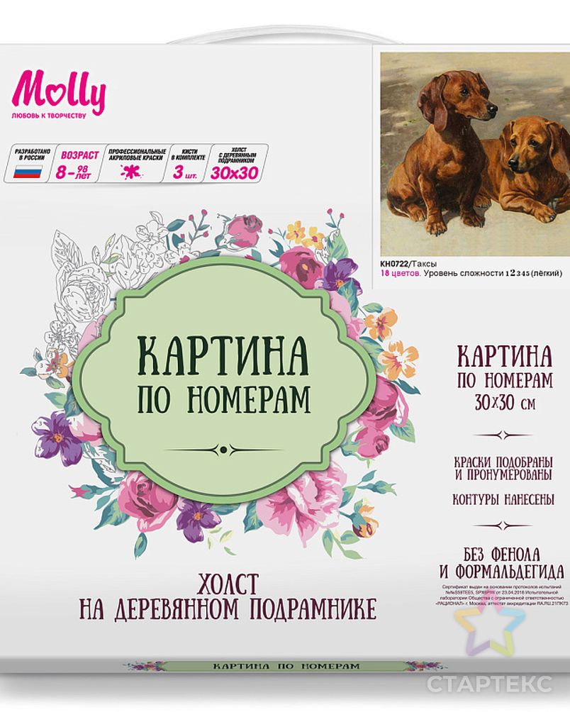 Картины по номерам Molly Таксы (18 цветов) 30х30 см арт. МГ-96402-1-МГ0859763