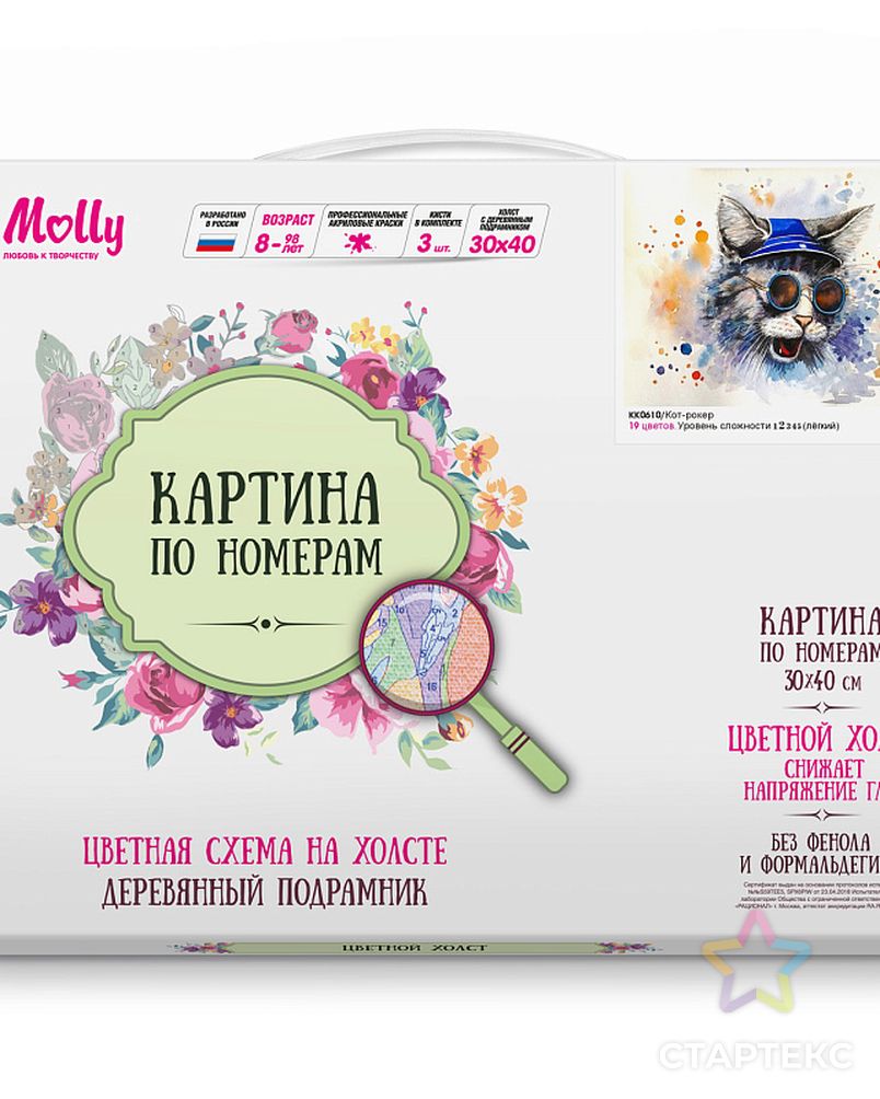 Картина по номерам с цветной схемой на холсте Molly Кот-рокер (19 цветов) 30х40 см арт. МГ-96345-1-МГ0859781 2