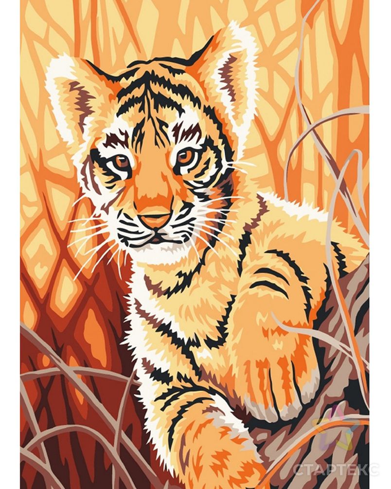 Набор юного художника Molly Любопытный тигренок (12 Цветов) 20х30 см арт. МГ-108037-1-МГ0961483
