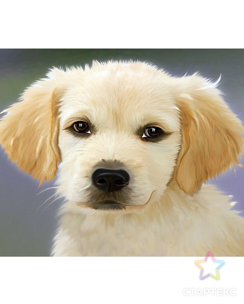 Набор юного художника Molly Пушистый щенок (15 Цветов) 20х30 см арт. МГ-108860-1-МГ0961484