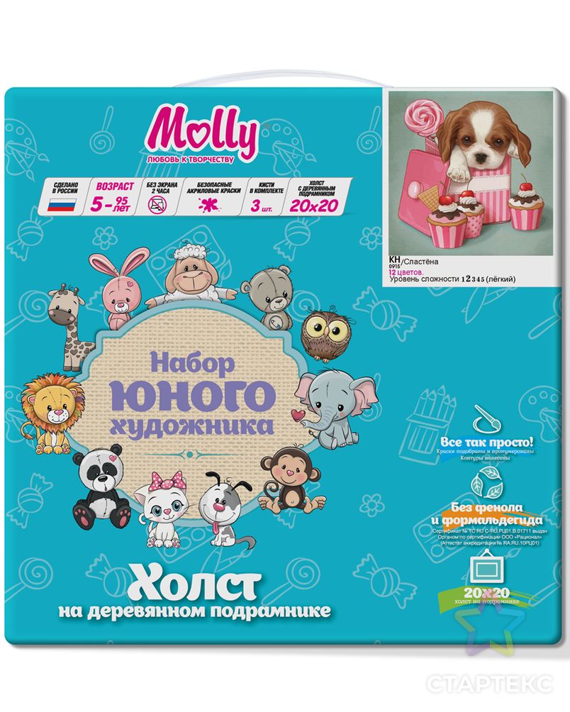 Набор юного художника Molly Сластёна (12 Цветов) 20х20 см арт. МГ-109856-1-МГ0961506 3