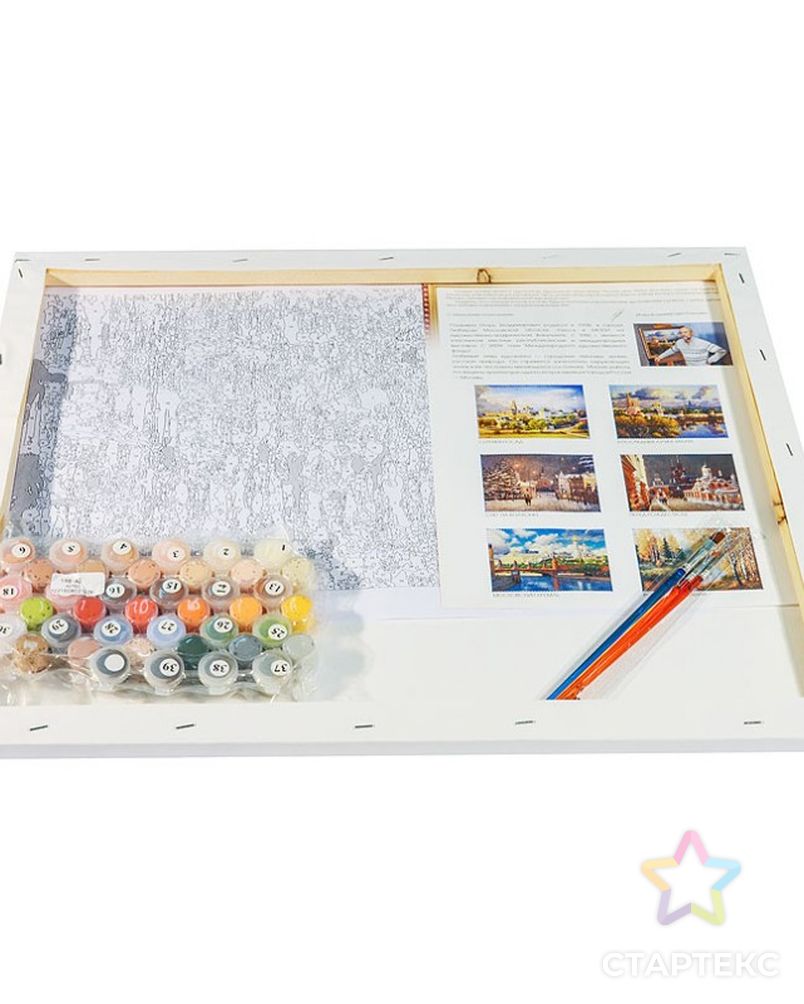 Картины по номерам Белоснежка Снег на Волхонке 40х50 см арт. МГ-106817-1-МГ0963291 2