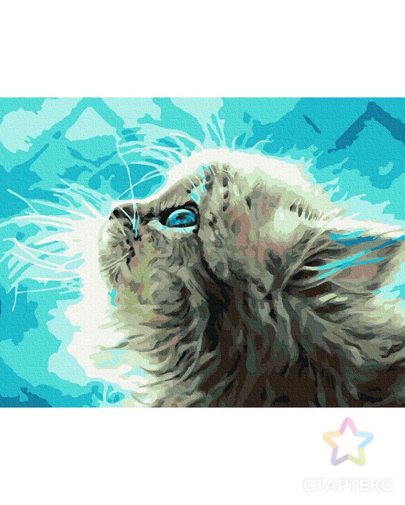 Картина по номерам с цветной схемой на холсте Molly Пушистый котенок 30х40 см арт. МГ-109214-1-МГ0972360