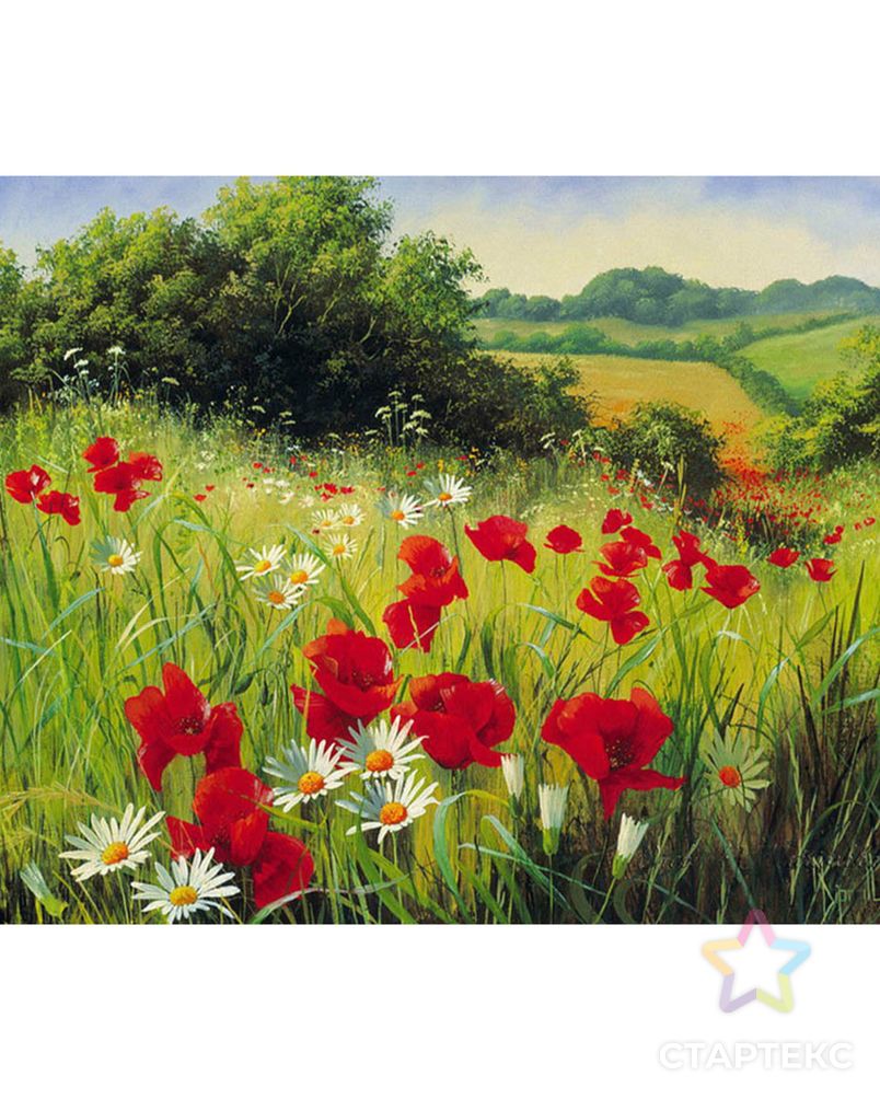 Картины по номерам Molly Луговые цветы 40х50 см арт. МГ-108026-1-МГ0972389