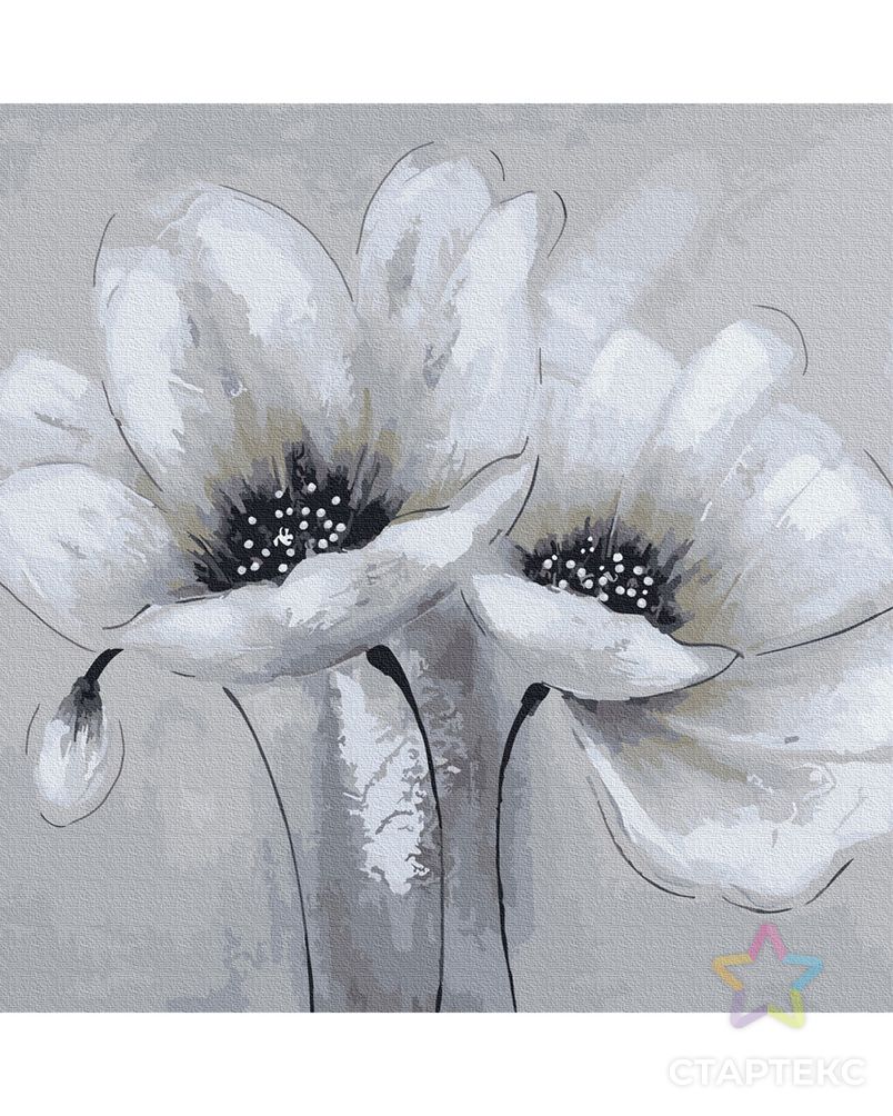 Картины по номерам Molly Белые цветы 30х30 см арт. МГ-108919-1-МГ0972433 3