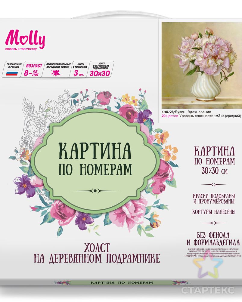 Картины по номерам Molly Бузин. Вдохновение (20 цветов) 30х30 см арт. МГ-96389-1-МГ0860079