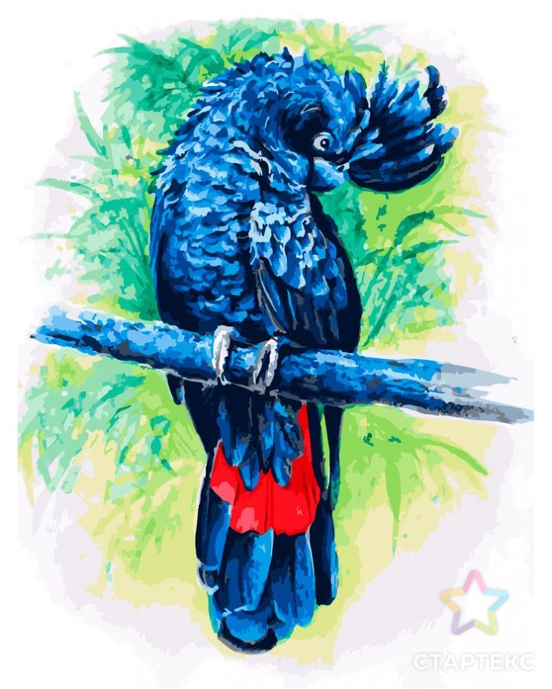 Картины по номерам Белоснежка Синий попугай 30х40 см арт. МГ-107096-1-МГ0963171 2