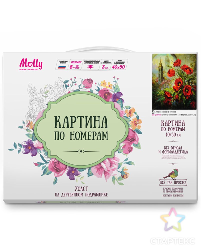 Картины по номерам Molly Маки на фоне собора 40х50 см арт. МГ-108671-1-МГ0972371