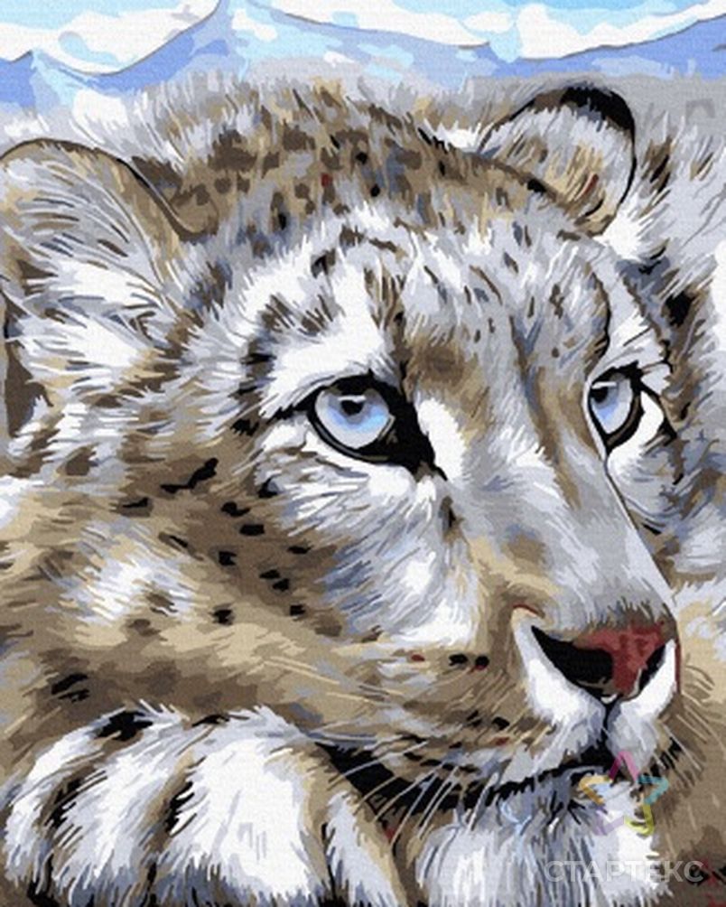 Картина по номерам с цветной схемой на холсте Molly Снежный леопард 30х40 см арт. МГ-112469-1-МГ1005269