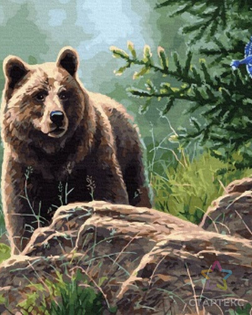 Картина по номерам с цветной схемой на холсте Molly Сибирский бурый медведь 40х50 см арт. МГ-112486-1-МГ1005307 2