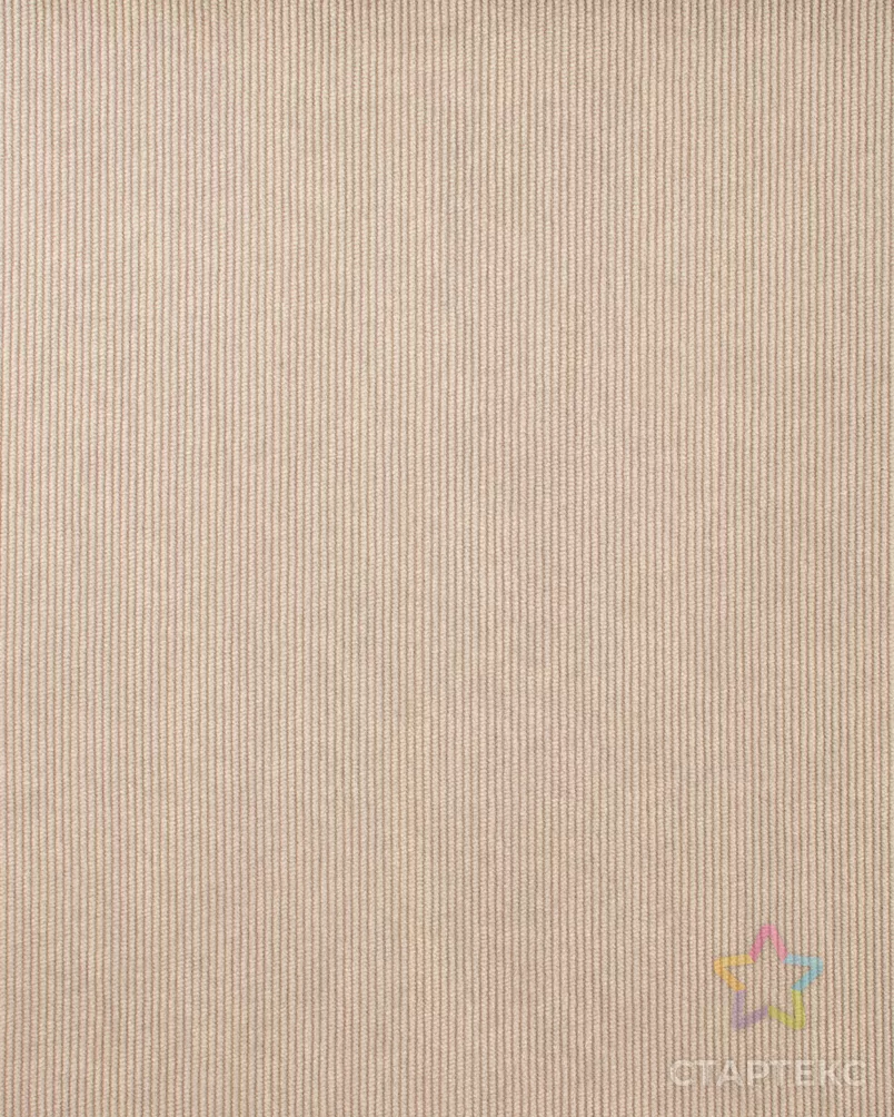 Вельвет "Рио" арт. ВВ-65-8-24822.008 - рис. 2