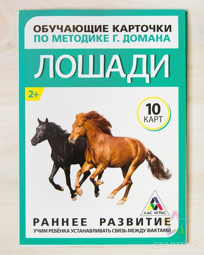 Обучающие карточки по методике Г. Домана «Лошади», 10 карт, А6 - купить в  Москве оптом и в розницу по недорогой цене в интернет-магазине Стартекс (  СМЛ0003000945)