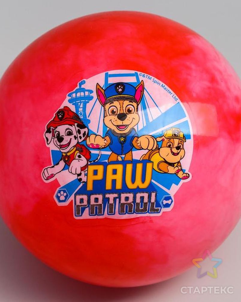 Мяч детский Paw Patrol 22 см, 60 гр, мрамор, МИКС - купить в  Ростове-на-Дону оптом и в розницу по недорогой цене в интернет-магазине  Стартекс (СМЛ0005083427)