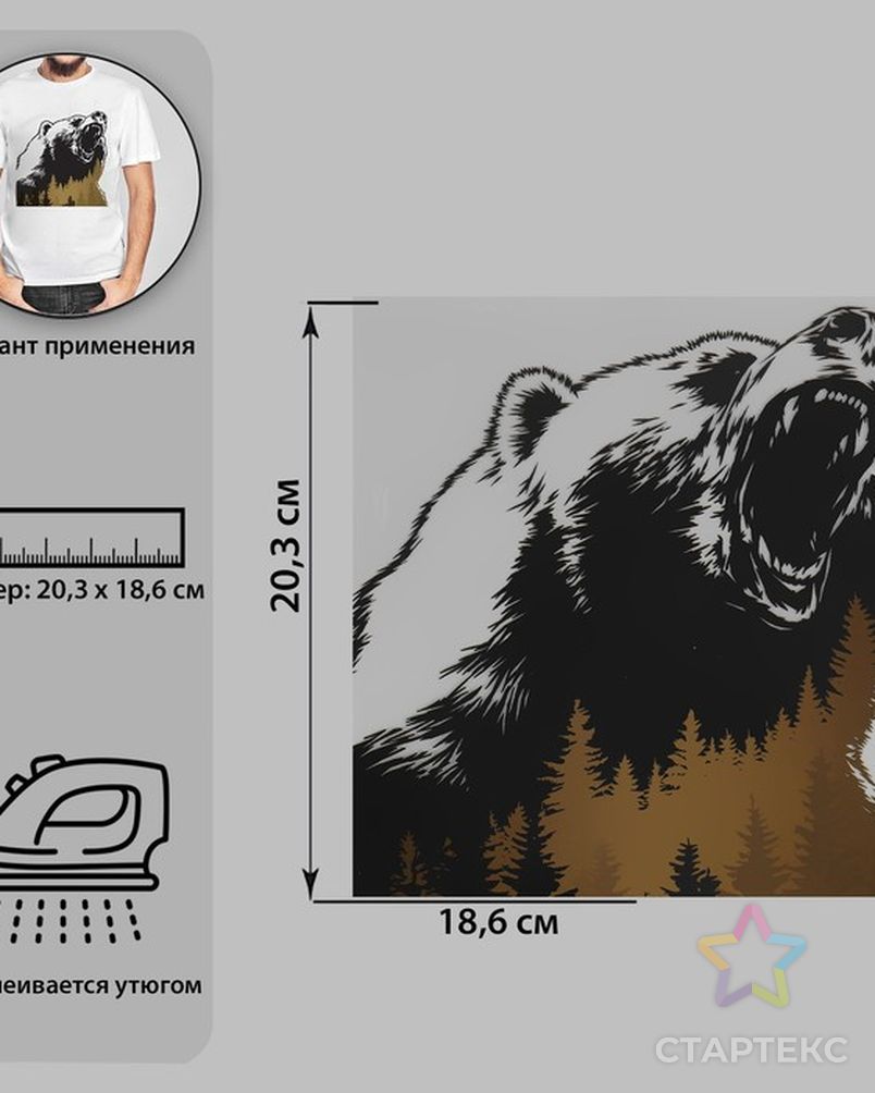 Термотрансфер Дикий медведь 18,6*20,3см АУ - купить в Москве оптом и в  розницу по недорогой цене в интернет-магазине Стартекс (СМЛ0007339264)