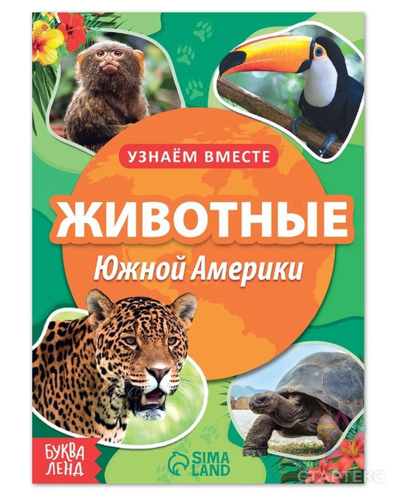 Обучающая книга 