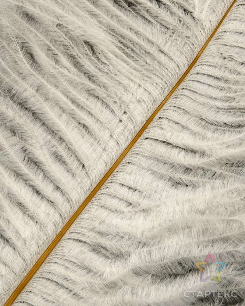 Перо страуса дл.20-30см (5шт) арт. ППР-12-2-41115.002 - рис. 2