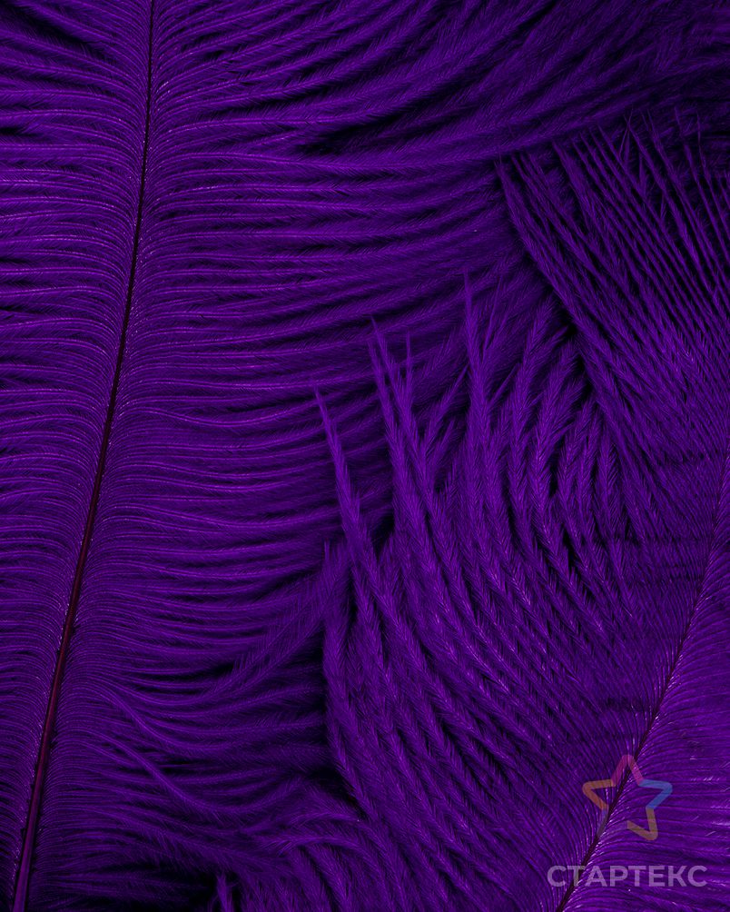 Перо страуса дл.15-20см 10шт (фиолетовый) арт. ППР-18-1-41189 3