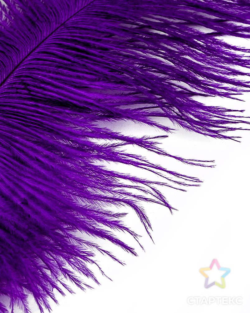 Перо страуса дл.15-20см 10шт (фиолетовый) арт. ППР-18-1-41189 2