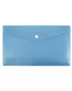 "Expert Complete" Trend ICEberries Папка-конверт с кнопкой travel 180 мкм 12 шт. голубика ЕС211120061 арт. ГММ-113362-4-ГММ101852603424