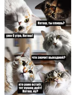 "ФРЕЯ" Пазл 500 деталей 32.5 x 47.5 см PZL-500/43 Наташа, вставай! арт. ГММ-100651-35-ГММ113420341234