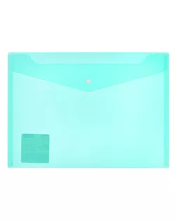 "Expert Complete" Classic Папка-конверт с кнопкой A4 120 мкм песок 20 шт. зеленый ЕС2111103 арт. ГММ-115179-2-ГММ113817001824