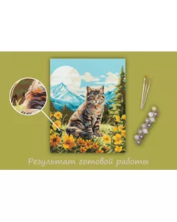 "ФРЕЯ" PNB/PL-251 Набор для раскрашивания по номерам 50 х 40 см "Кот на природе" арт. ГММ-117476-1-ГММ122447100084