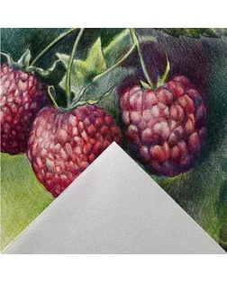 "Canson" Альбом для смешанных техник "Graduate Drawing" 160 г/м2 A5 склейка с одной стороны 30 л. C400110364 арт. ГММ-117843-1-ГММ125500972734