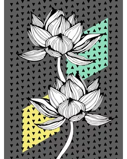 "ФРЕЯ" PNB/C3 Холст для раскрашивания по номерам 40 х 30 см СК/Распродажа №45 "Цветок. Графика" арт. ГММ-113593-38-ГММ130748476574