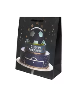 "Stilerra" BINM подарочный пакет 157 г/кв.м 26 х 32 х 12 см 12 шт. 02 арт. ГММ-119320-2-ГММ133308456424