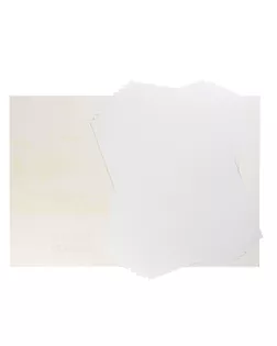 "VISTA-ARTISTA" PWG-A310 Папка с бумагой для акварели 200 г/м2 A3 42 х 30 см папка 10 л. гознак тисненая арт. ГММ-117239-1-ГММ133443163294