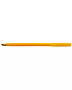 "Centropen" Набор цветных фломастеров WASHABLE TP РА 7790/12 РА 12 цв 7790/12 РА арт. ГММ-118199-1-ГММ135978705644