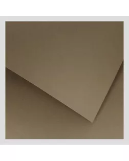 "Canson" Бумага для пастели Mi-Teintes 160 г/м2 50 х 65 см лист 10 л. №336 Коричневый песчаный C31032S097 арт. ГММ-119501-1-ГММ139806501044