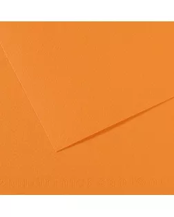 "Canson" Бумага для пастели Mi-Teintes 160 г/м2 50 х 65 см лист 10 л. №384 Буйволовая кожа C31032S102 арт. ГММ-119501-9-ГММ139840622044