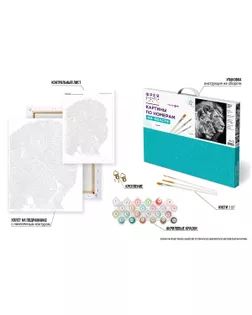 "ФРЕЯ" PNB/PL-367 Набор для раскрашивания по номерам 50 х 40 см "Черно-белые львы" арт. ГММ-119595-1-ГММ142634963684