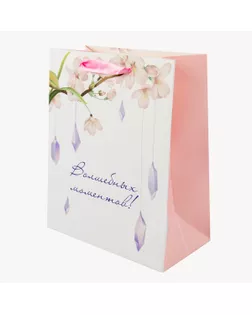 "Stilerra" AFYS подарочный пакет 210 г/кв.м 18 х 23 х 10 см 12 шт. 02 волшебных моментов арт. ГММ-119284-2-ГММ143569656224