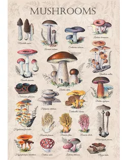 "ФРЕЯ" Пазл 1000 элемент. PZL-1000/100 Грибная энциклопедия арт. ГММ-100786-91-ГММ146235046134