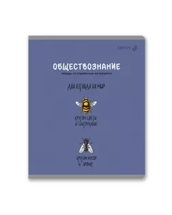 "Светоч" Т280 Тетрадь со справочным материалом "Большая перемена", выбор.лак, A5 48 л. на скобе 65 г/кв.м , белизна 100 % 10 шт. клетка 01820 "Большая перемена" Обществознание арт. ГММ-119481-10-ГММ146399240664
