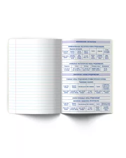 "Светоч" Т281 Тетрадь со справочным материалом "Большая перемена", выбор.лак, A5 48 л. на скобе 65 г/кв.м , белизна 100 % 10 шт. линия 01822 "Большая перемена" Русский язык арт. ГММ-119482-1-ГММ146399241864